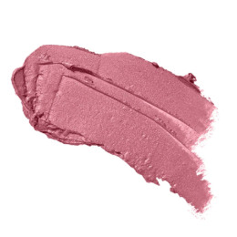 Помада для губ Perfect Color Lipstick