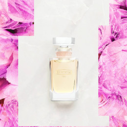 Эссенция Rose