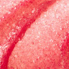 Скраб для губ Lip Scrubtious
