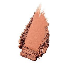 Бронзирующая пудра Skinfinish Sunstruck Matte Bronzer