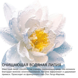 Средство для снятия макияжа с глаз и губ с экстрактом нимфеи Purifying Nymphea-Infused Eye&Lip Makeup Remover