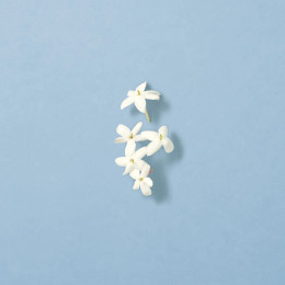 Парфюмерная вода Ocean di Gioia