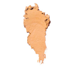 Тональное средство в карандаше Skin Foundation Stick